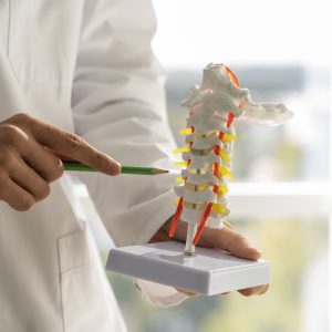 Fraturas Vertebrais em Idosos: O Guia para Identificar e Tratar com Segurança