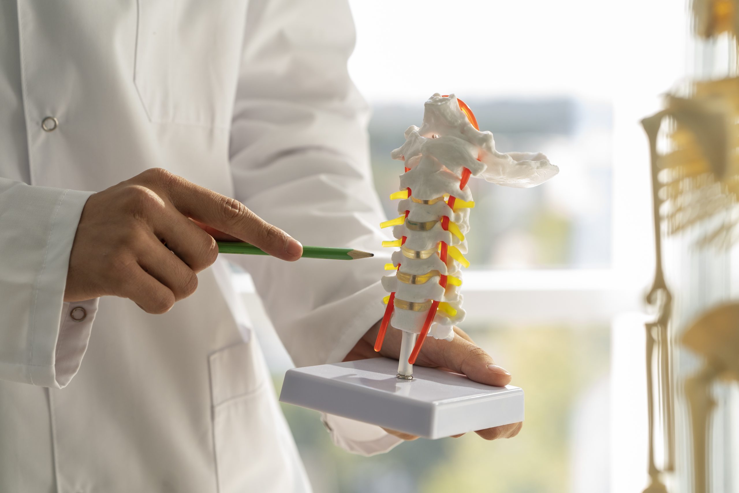 Fraturas Vertebrais em Idosos: O Guia para Identificar e Tratar com Segurança